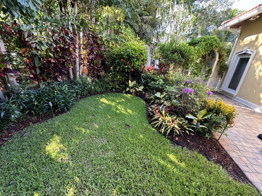lantana artificial turf cleaner experts